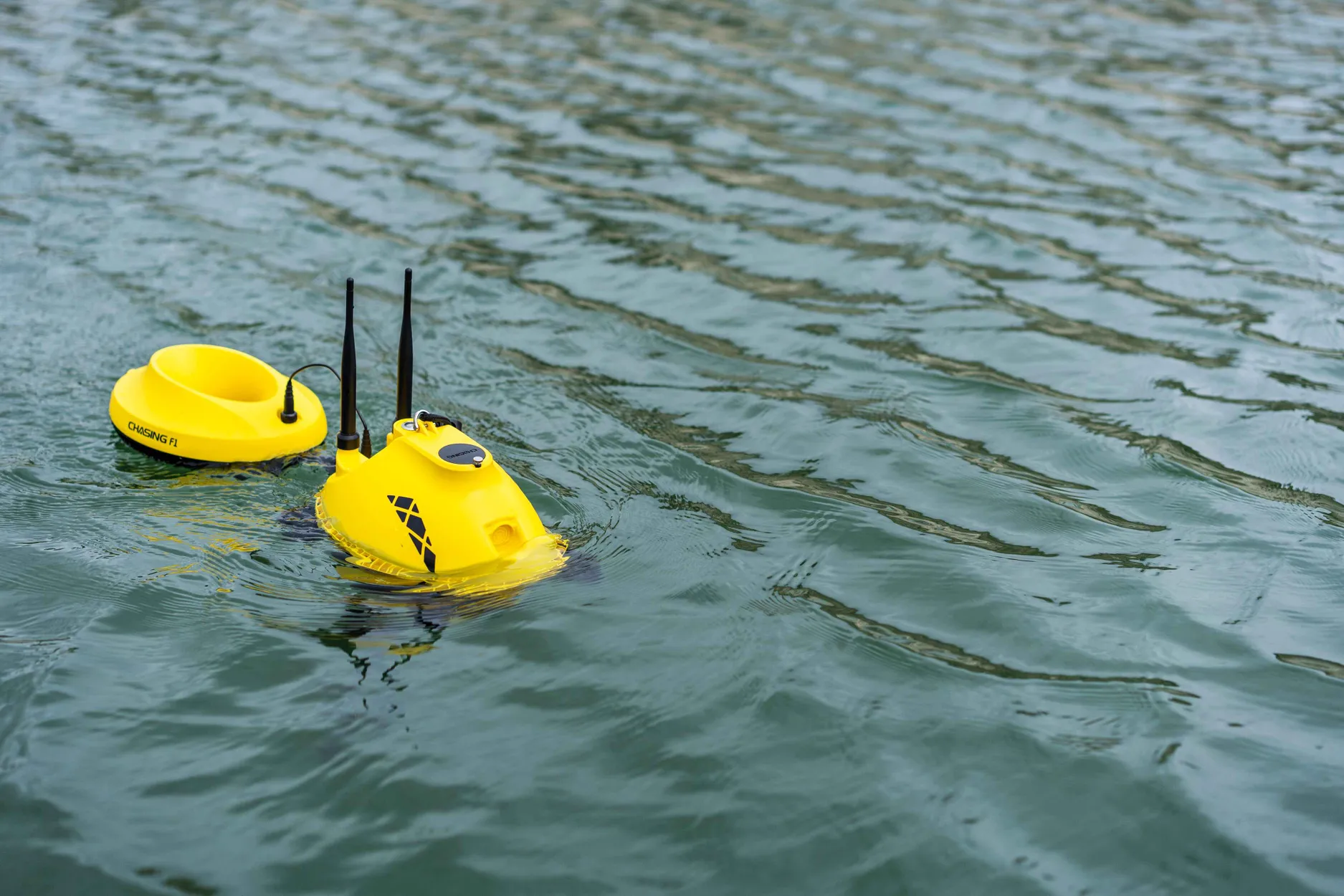 The Best Fish to Catch in March – And How to Spot Them Underwater