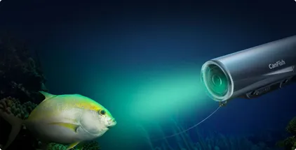 Chasing CanFish Fishing CamX