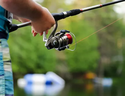 Discover More Below the Surface with the Best Fishing Camera