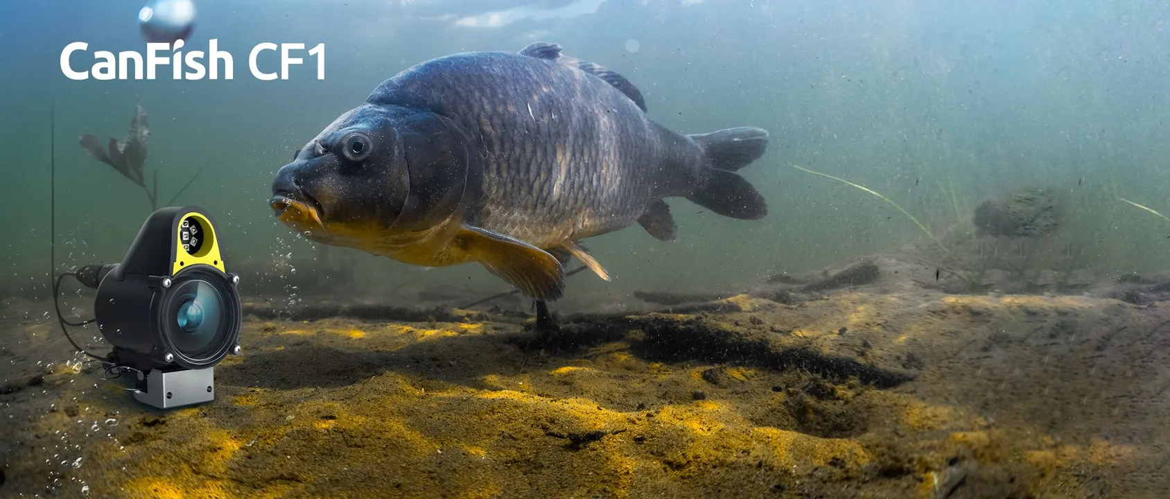 How a Live Stream Underwater Fishing Camera Can Improve Your Catch Rate