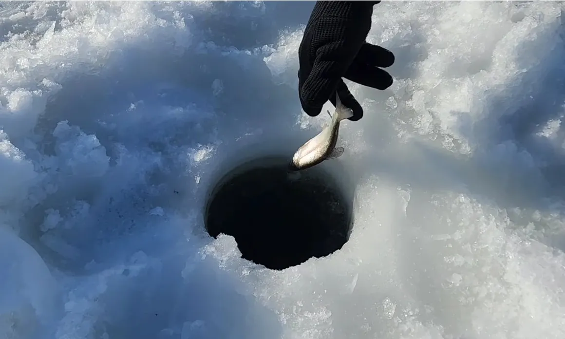 How an Underwater Camera Changed My Ice Fishing Season: A Real CF1 User Story