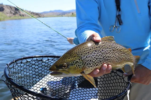 How to Catch Lake Trout Ice Fishing: Expert Tips, Techniques, and Gear for Success