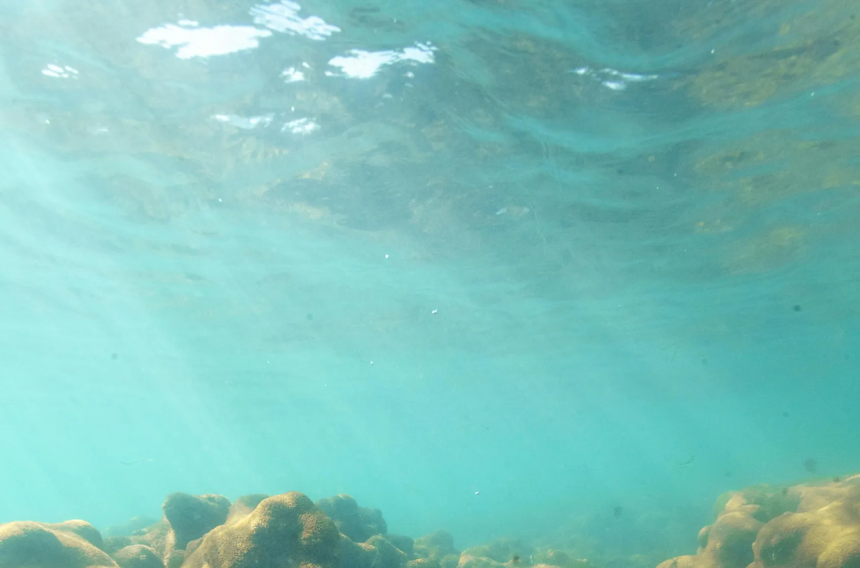 How to Fish in Murky Water