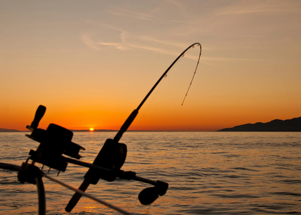 Maximize Your Salmon Fishing Experience with the CanfishCF1 Underwater Fishing Camera