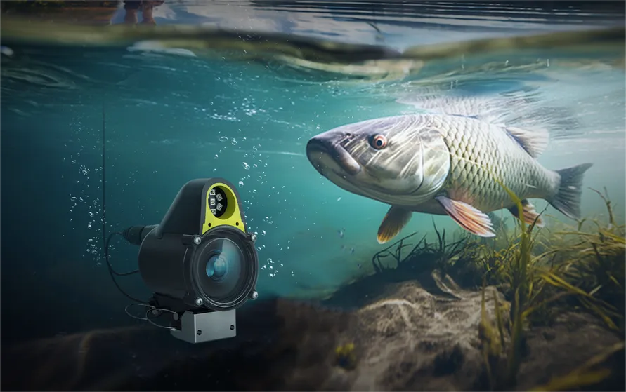 Top Features to Look for in an Underwater Fishing Drone