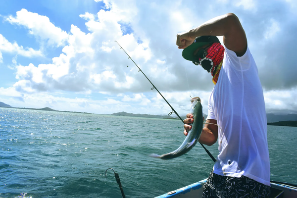 What Kind of Bait Should Be Used in August? Lure Camera is the Answer