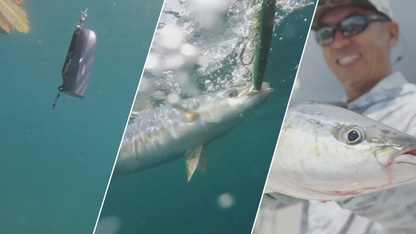 Your Underwater Coach: How CanFish Films Your Way to Fishing Mastery