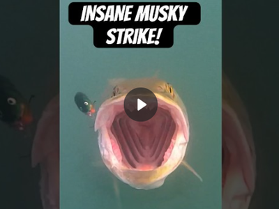 Real Underwater Footage