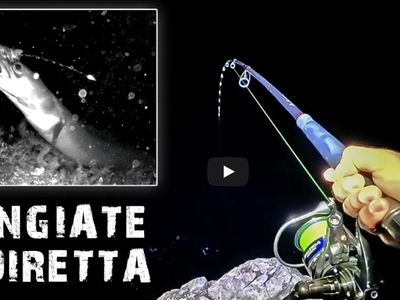 Pêche de NUIT en PROFONDEUR avec une caméra sous-marine - ft. CanFish CF1