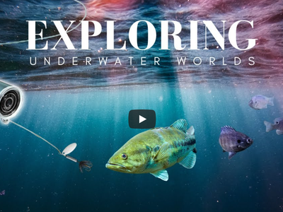Exploration des mondes sous-marins (CanFish CamX)
