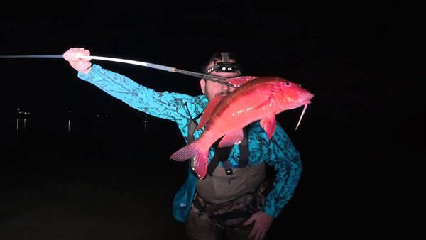 fish_eat_repeat